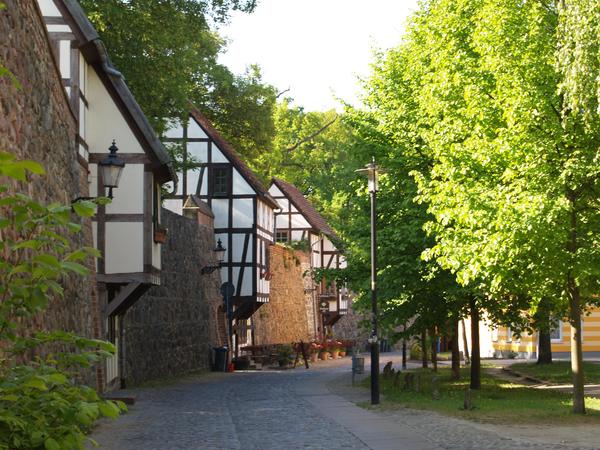 Stadtmauer mit Wiekh�user (B.Karl)