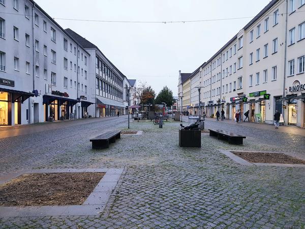 Turmstraße bekommt neue Bäume