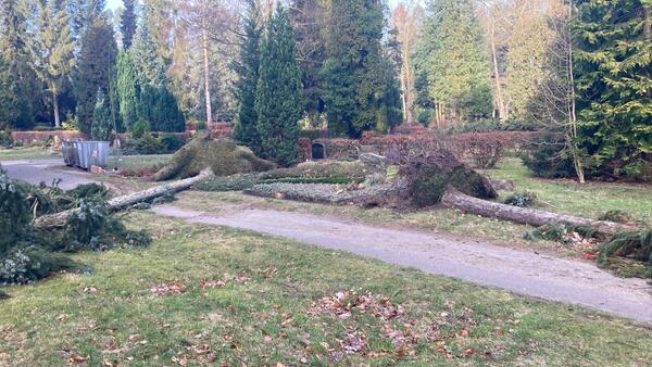 Sch&auml;den auf dem Neuen Friedhof