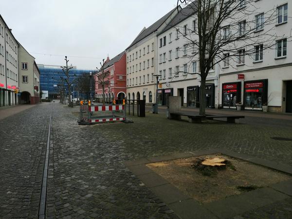 Baumpflanzung in der Turmstraße verschoben