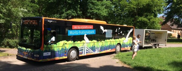M�ritz Nationalparkbus in B�ck