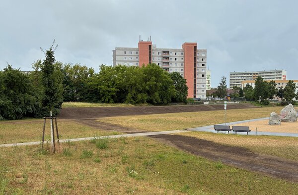 2026-07-07 Trib&uuml;nen Oststadt_nachher_c_Vier-Tore-Stadt Neubrandenburg
