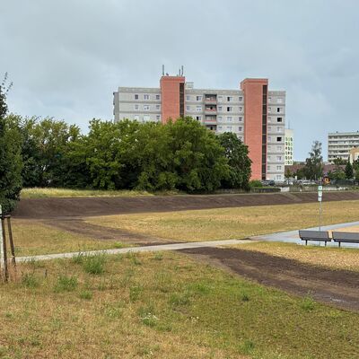 2026-07-07 Trib�nen Oststadt_nachher_c_Vier-Tore-Stadt Neubrandenburg