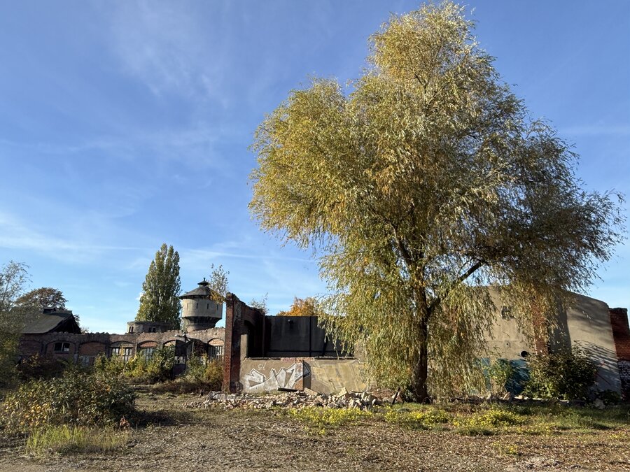 Lokschuppenareal in der Vier-Tore-Stadt Neubrandenburg