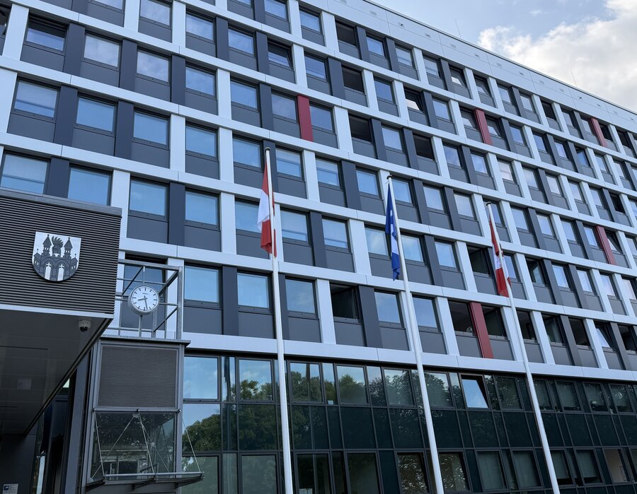 Eine Frontansicht des Rathauses der Neubrandenburg mit drei an Flaggenmasten gehissten Flaggen.