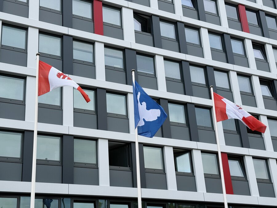 Friedensflagge vor dem Neubrandenburger Rathaus